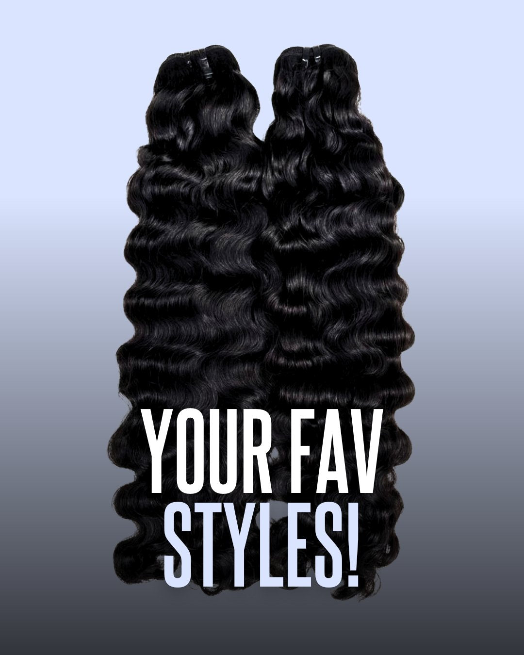 Burmese Curly